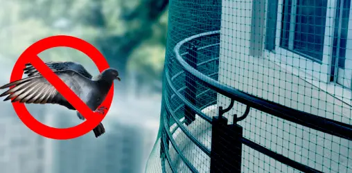 Living Room Interior Design